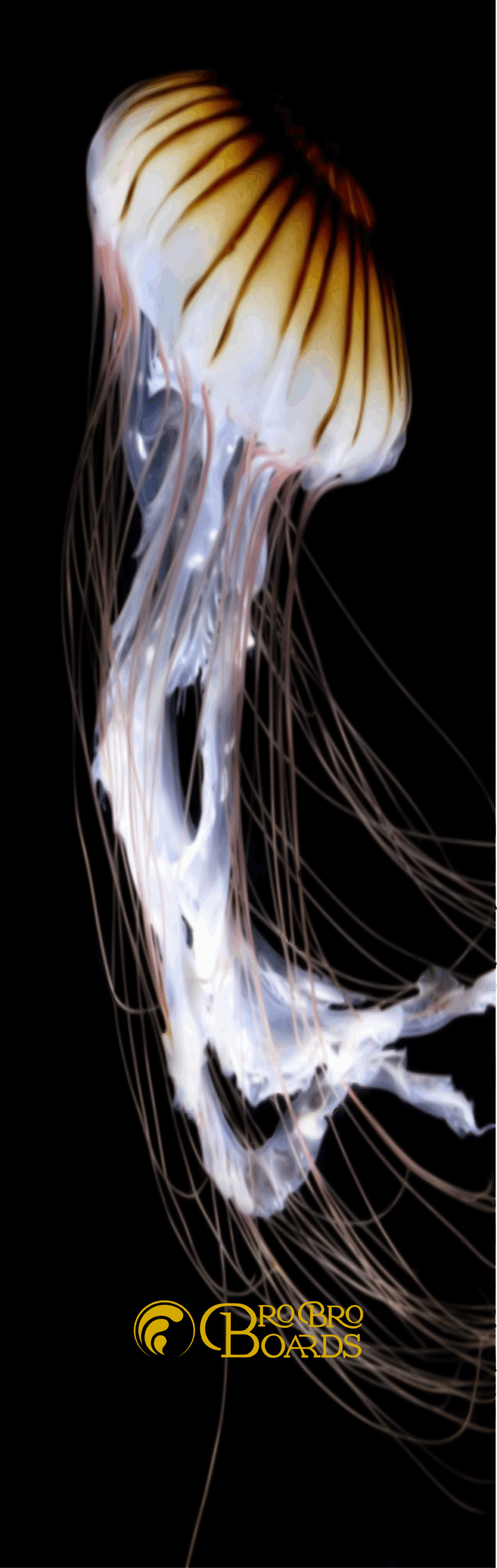 Golden Jellyfish - Image 3