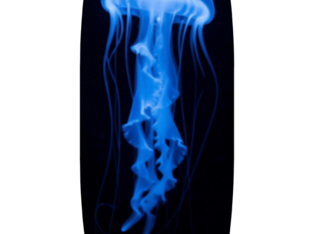 Blue Jellyfish